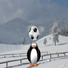 Juego online Penguin Soccer Juego online Penguin Soccer